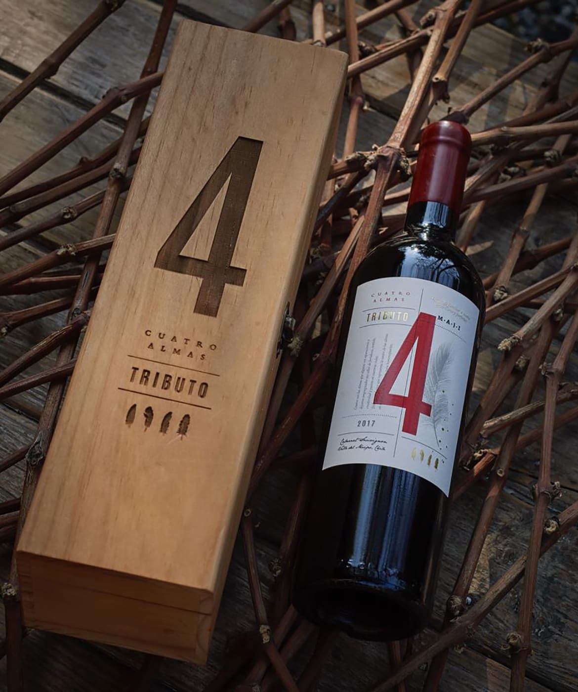 TRIBUTO CUATRO ALMAS